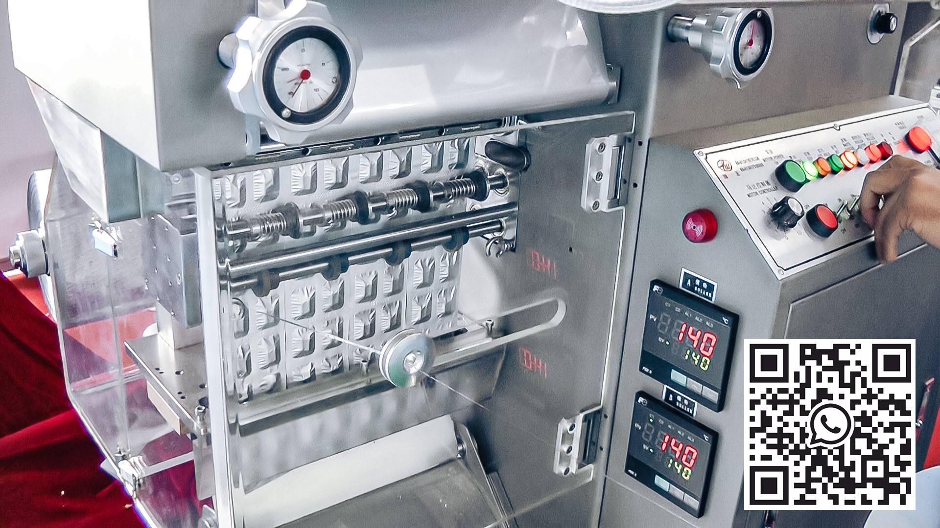 Attrezzatura automatica per il confezionamento in blister di capsule di gelatina solida con polvere nella produzione farmaceutica