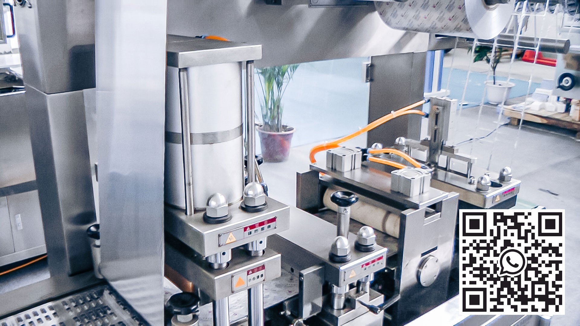 Attrezzatura automatica per il confezionamento di compresse ovali in blister di alluminio nella produzione farmaceutica Cina