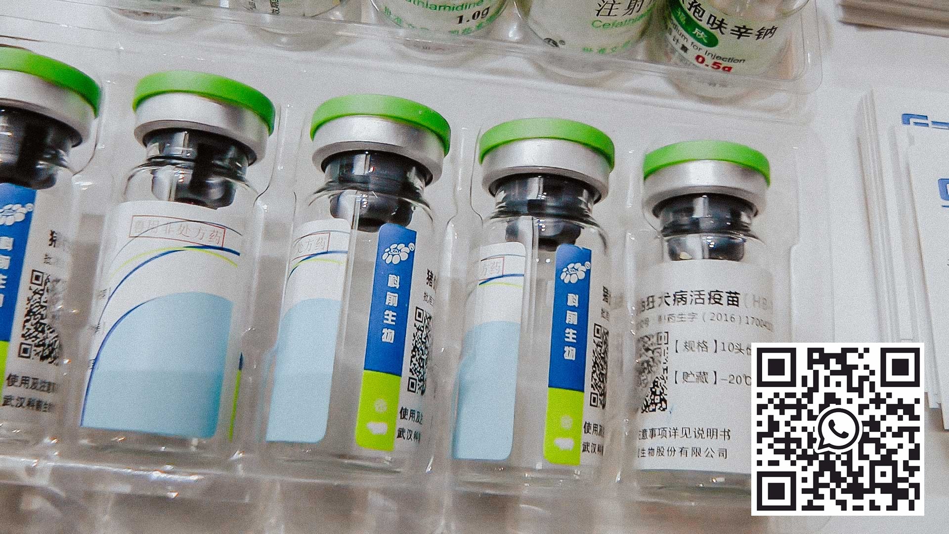 Įranga stiklinėms ampulėms ir penicilino buteliams pakuoti į PVC ir aliuminio lizdines plokšteles