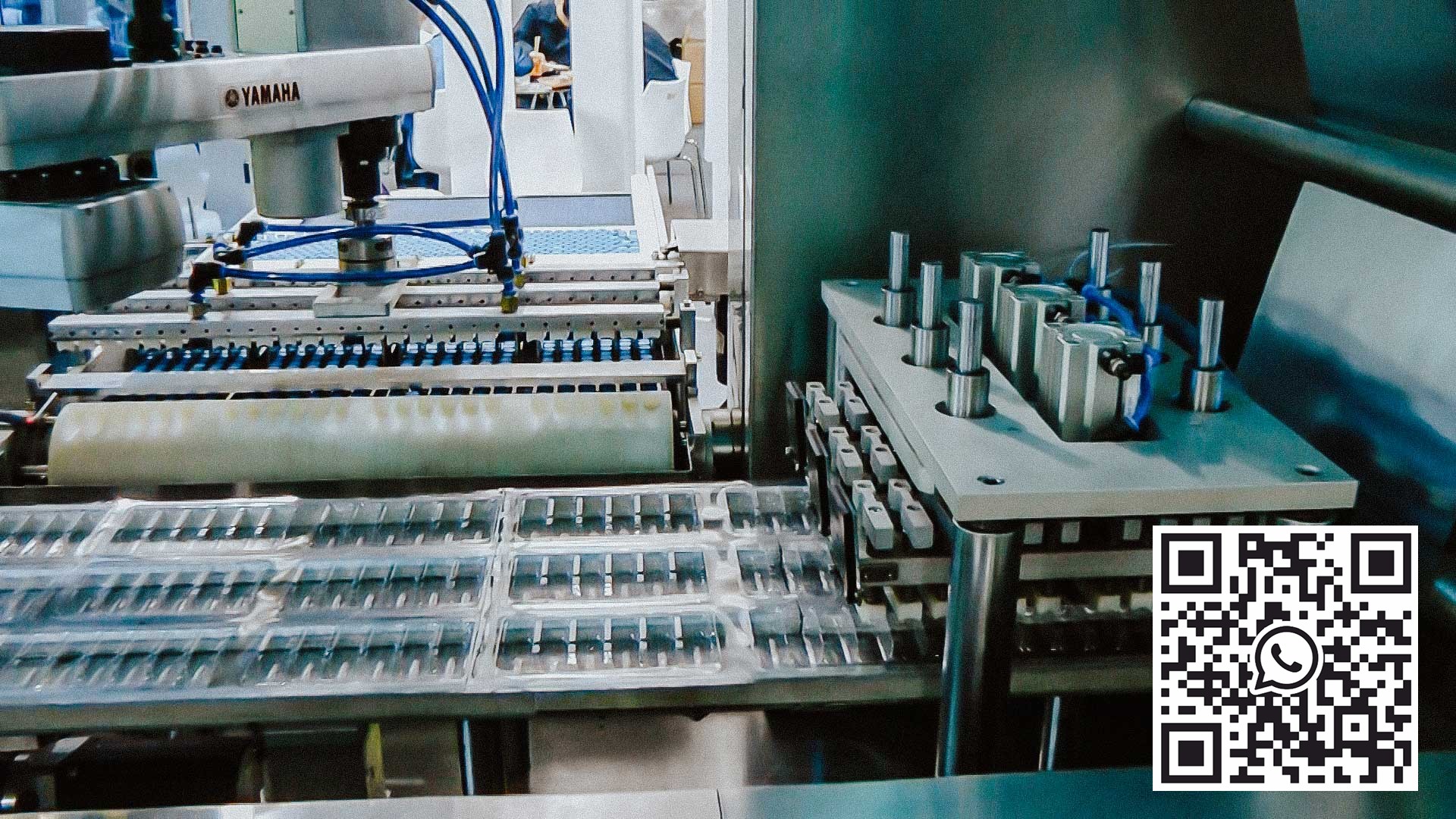 Didelės spartos automatinė lizdinių plokštelių mašina, skirta PVC ir ALU lizdinėms plokštelėms pakuoti į penicilino butelius