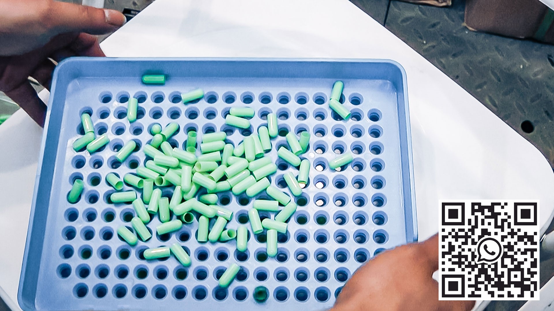 Automatinė miltelių užpildymo įranga laboratorijos želatinos kapsulėms farmacijos gamyboje