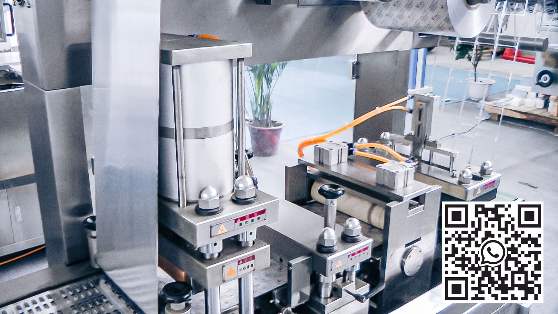 Equipo automático para envasar tabletas ovaladas en blísteres de aluminio en la producción farmacéutica China