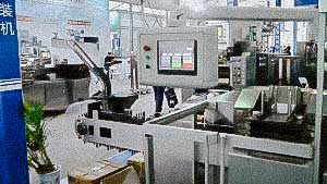 Automatic Blister Packaging Machine with Capsule Pharmaceutical Factory
