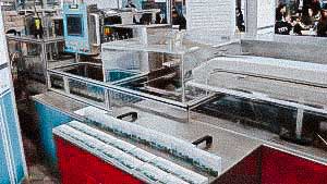 Automatic cardboard machine for packaging blisters with tablets in cardboard boxes