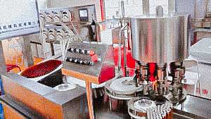Automatic glass bottle filling and capping machine with screw cap