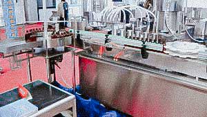 Automatic liquid bottling and capping machine in plastic bottles with screw cap