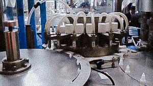 Equipment for automatic bottling and capping of spray bottle with liquid