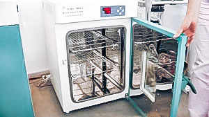 Automatic food drying equipment in pharmaceutical production